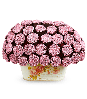 Pembe Tatlar Kek Buketi